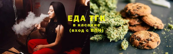 шишки Абаза