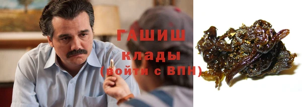шишки Абаза
