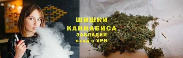 индика Абдулино