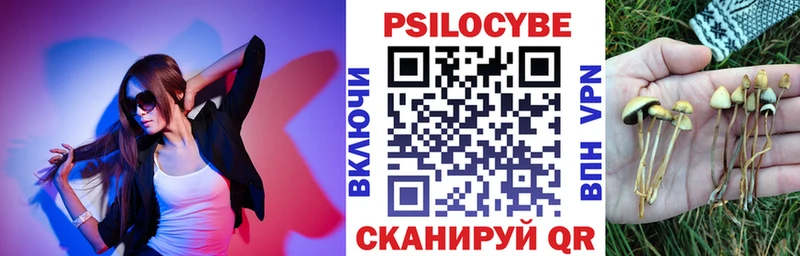 Псилоцибиновые грибы MAGIC MUSHROOMS  кракен зеркало  Ярославль  закладки 