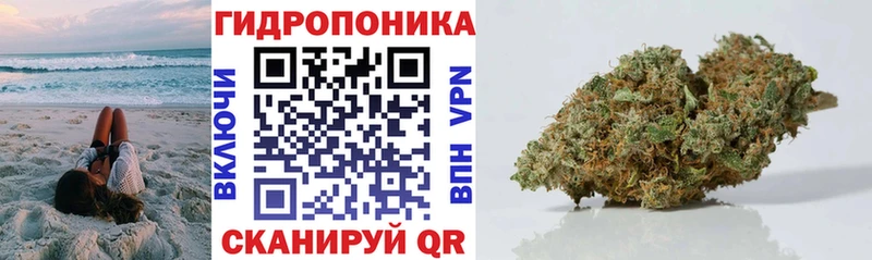 Конопля конопля  Ярославль 